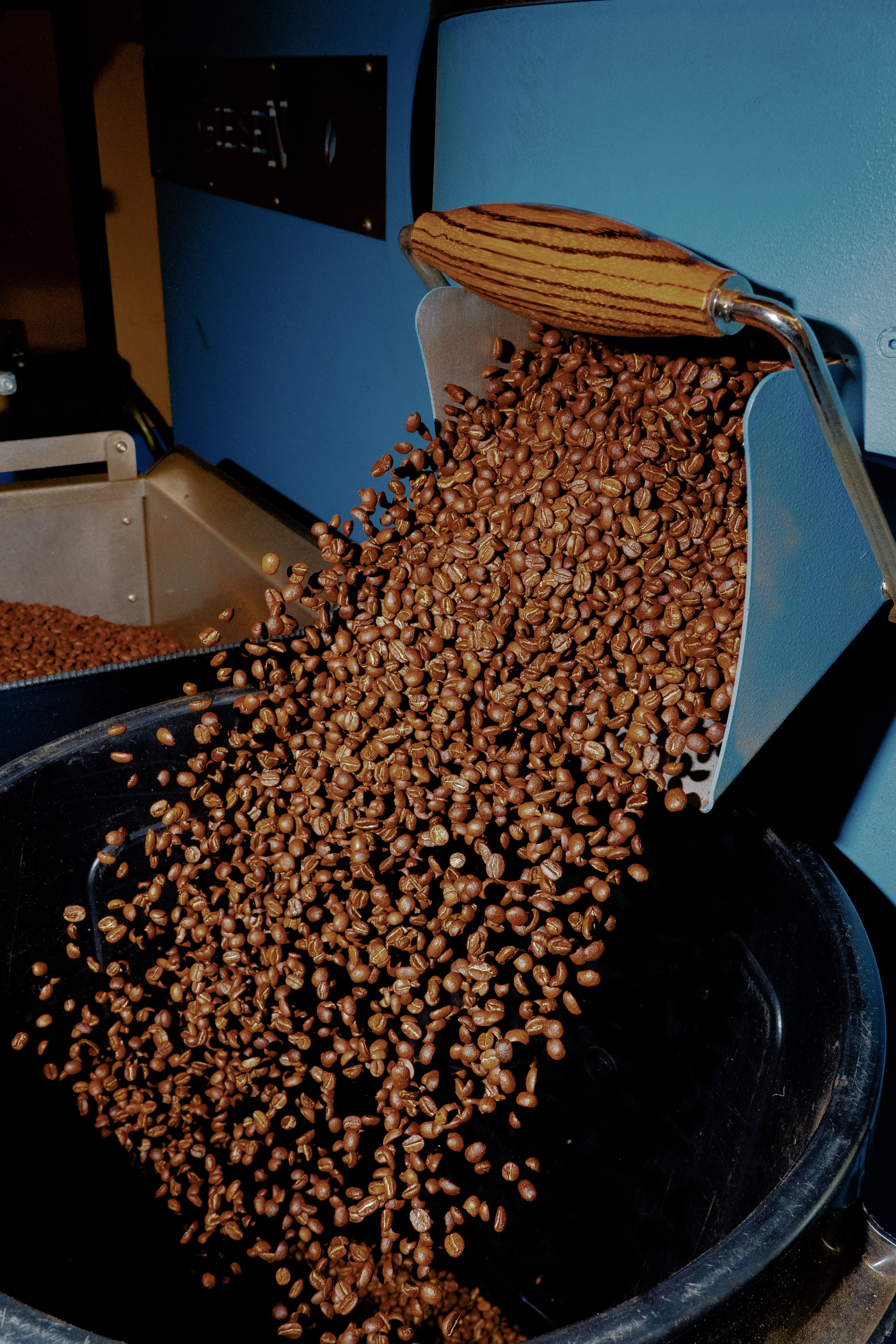 Coffee cherries and brewing gear laid out on a workbench at the Andy Roasters roastery in Antwerp