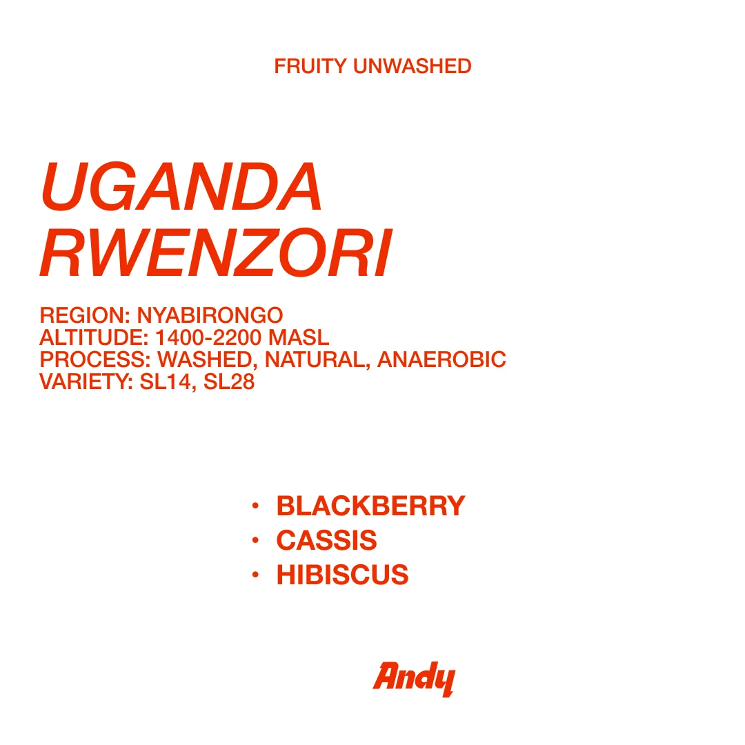 UGANDA Rwenzori espresso bag standing beside loose coffee beans
